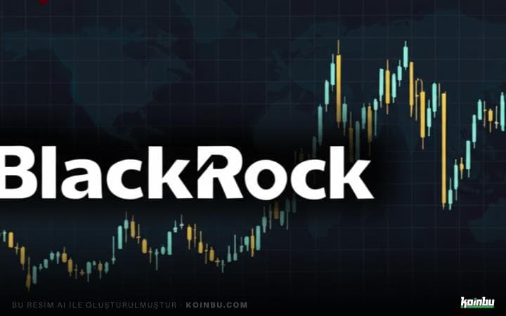 BlackRock CEO's Bitcoin Fırsatı Çağrısı ve Piyasa Analizleri
