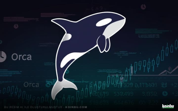 Orca (ORCA) Fiyatı Yükseldi: Ağ Raydium'u Geçti ve Önemli Bir Oylama Tamamlanmak Üzere