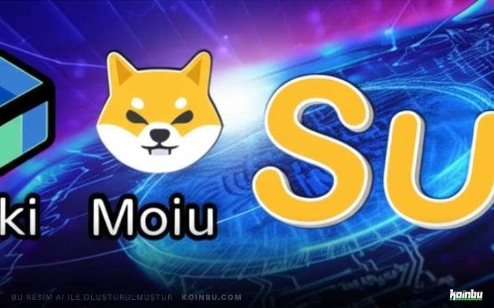 Uzmanların Gözdesi: Floki Inu, Mog Coin ve Sui Altcoin'lerinin Yükselişi