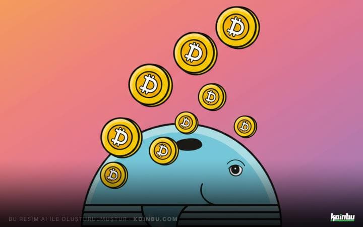 Dogecoin (DOGE) Fiyatında Sıçrama Beklentisi: Balinalar 1.83 Milyar DOGE Topladı