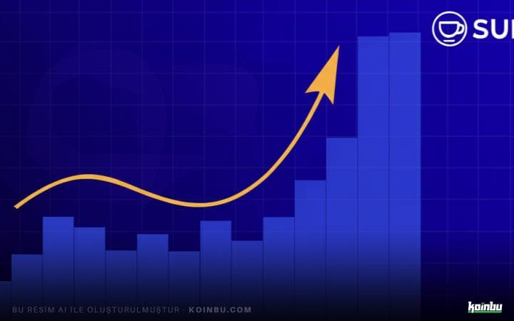 SUI'ye Yönelik 6.1 Milyon Dolarlık Stablecoin Girişi ve Fiyat Artışı Beklentisi