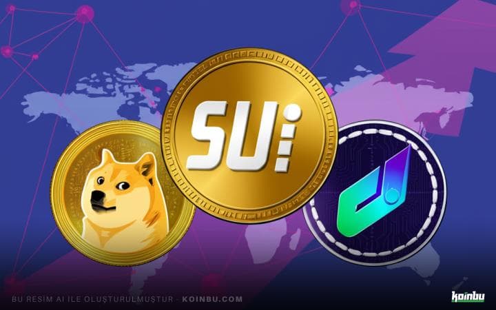 2025'e Damga Vuracak 3 Altcoin: Dogecoin, Sui ve Chainlink