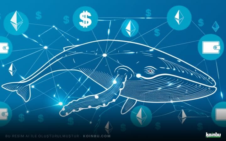 Gizemli Balina, Ethereum Biriktirmeye Devam Ediyor: Büyük Ölçekli Alımlar ve Riskler