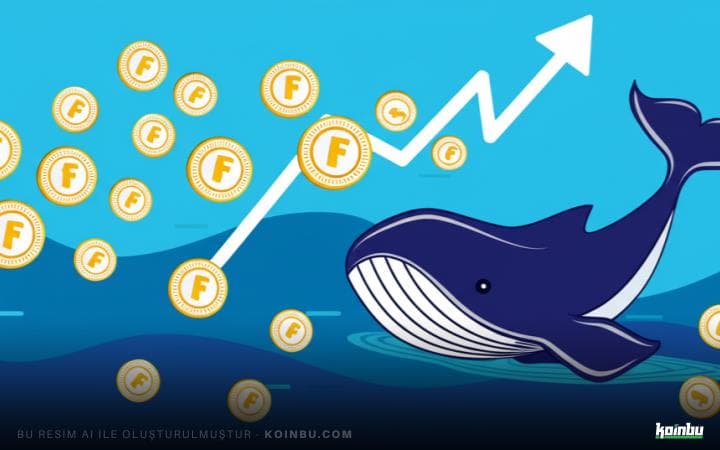 Fartcoin (FARTCOIN) Balinasının 3.48 Milyon Dolarlık Kar Elde Etmesi ve Fiyat Hareketleri