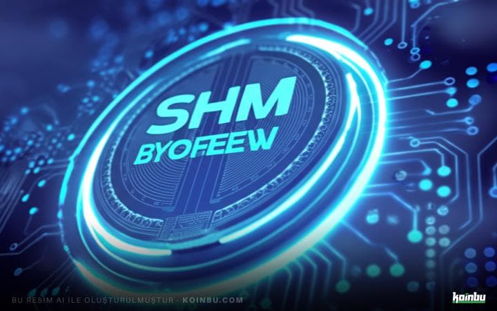 Shardeum, WazirX Kurucusunun Blockchain'i, Token Oluşturma Etkinliğini 2025'e Erteledi