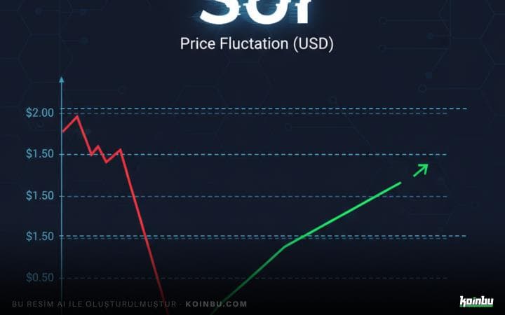 SUI Fiyatında Büyük Düşüş: Balinaların Etkisi ve Uzun Vadeli Beklentiler